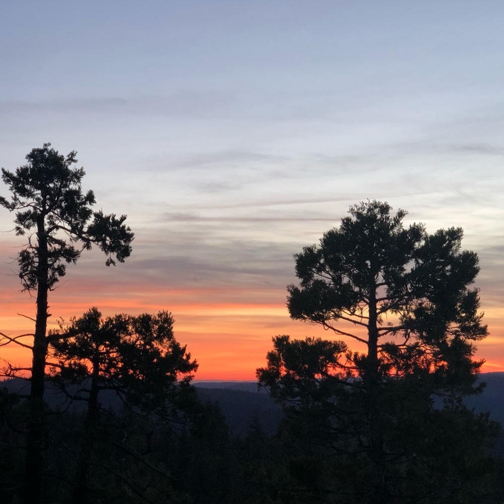 Meet your Posher, Ginger